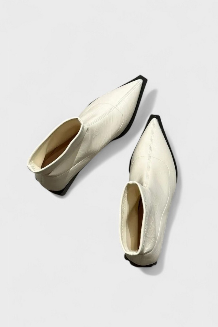 Women’s Metallic Pointed-Toe Boots | Ankle