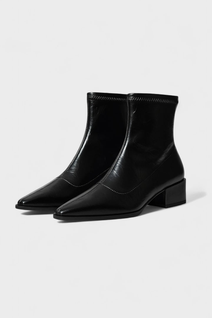 Women’s Metallic Pointed-Toe Boots | Ankle